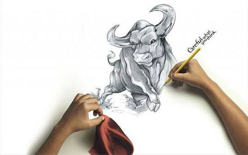 從廣告設(shè)計(jì)專業(yè)出發(fā) 開啟多元職業(yè)發(fā)展之路